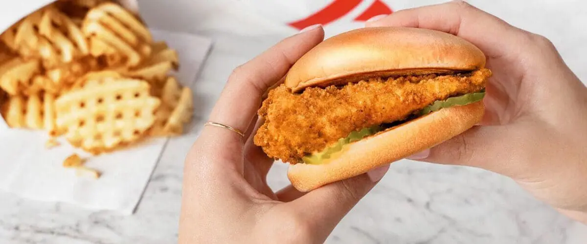 Hands holding chicken sandwich